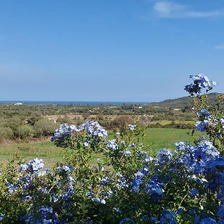 La Casa Di Eve Villa Budoni Eksteriør billede