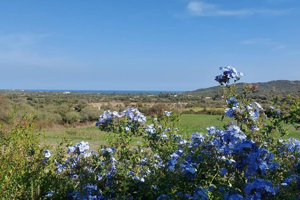 La Casa Di Eve Villa Budoni Eksteriør billede