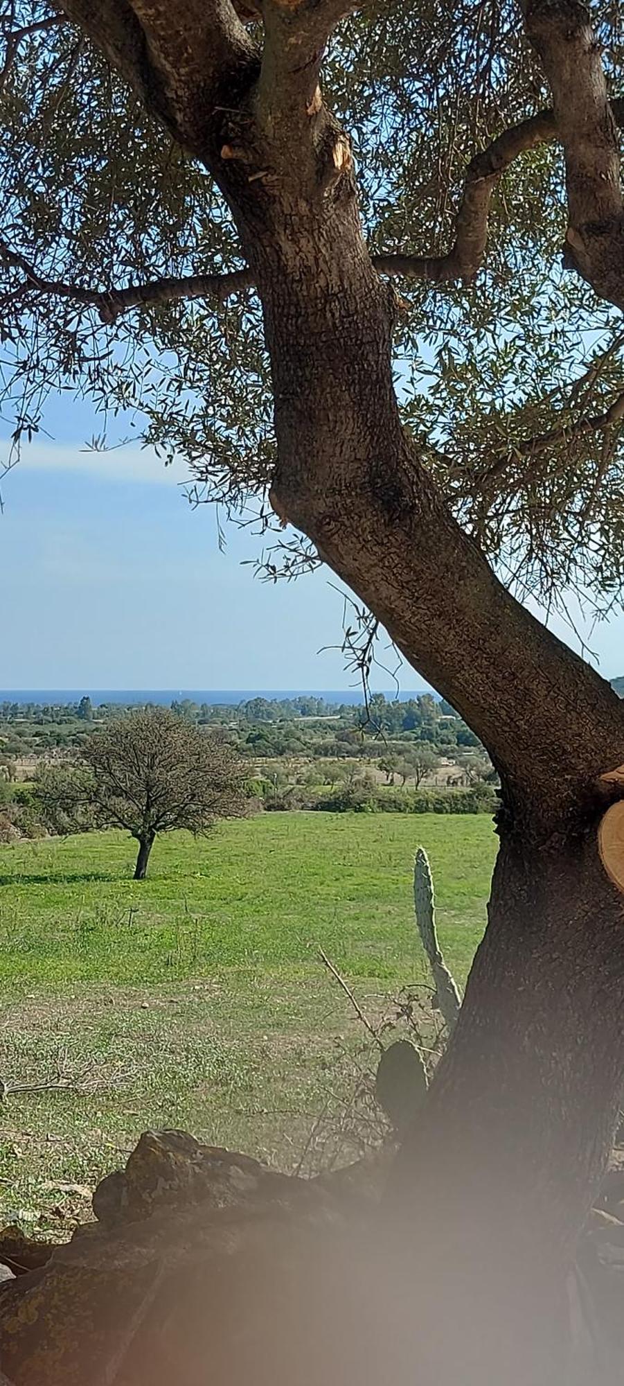 La Casa Di Eve Villa Budoni Eksteriør billede