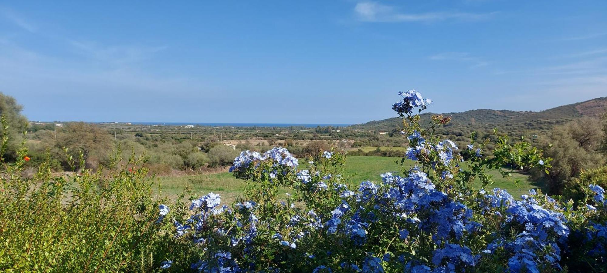 La Casa Di Eve Villa Budoni Eksteriør billede